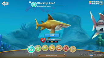 饥饿鲨手机游戏攻略(饥饿鲨玩法攻略)